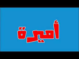 صور اسم امير - خطوط راقية و زخارف جميلة 2716 3