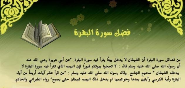 الي تقرا سوره البقره تدخل تقول تجربته 21166 1