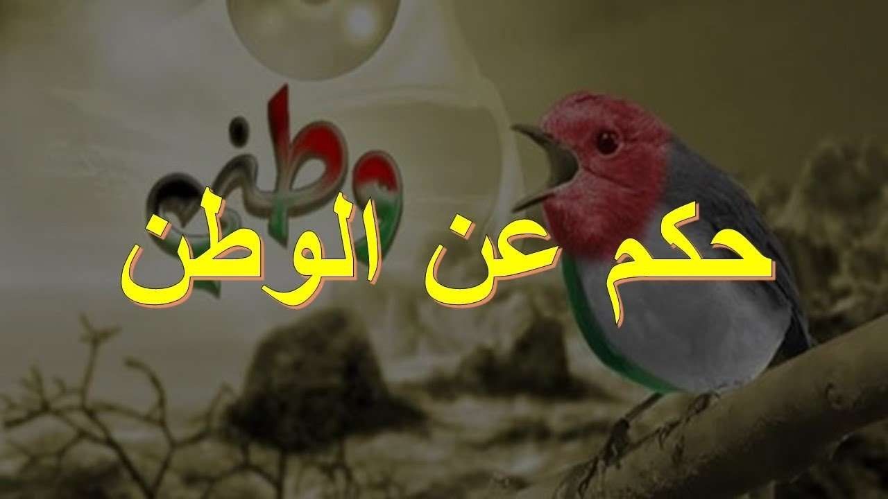 كلام عن الوطن - تعريف العبارات عن الوطن 20229 3