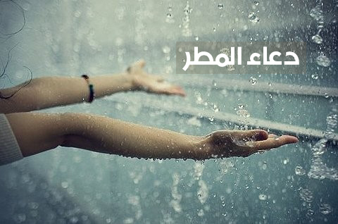 صور عن البرد - اروع صور خلفيات صقيع الشتاء ومطرة 2446 8