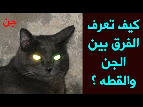 ماهو الفرق بين عين الانس وعين الجن