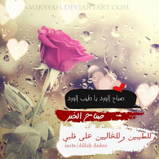 صور الصباح الورد ، صور بكلمات صباح الورد 21865 6