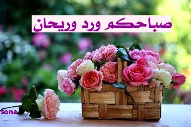 صور احلى صباح - ارسل مسج تصبح بية علي الحبايب 2257 7