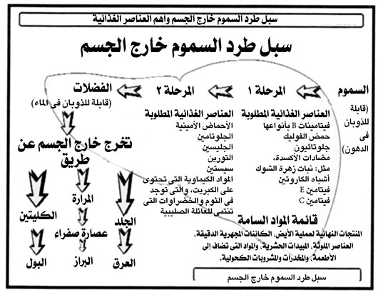 طرد السموم من الجسم - جسم خالي من السموم 19931 3