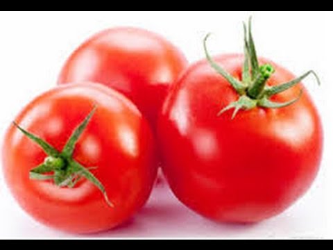 20092 2 تفسير الاحلام الطماطم - رؤية الطماطم في المنام بدرة وجدي