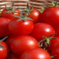 20092 3 تفسير الاحلام الطماطم - رؤية الطماطم في المنام بدرة وجدي