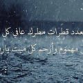 4357 3 ارجو تفسير الحلم الدعاء في المطر - رؤية المطر في المنام فيروز خالد